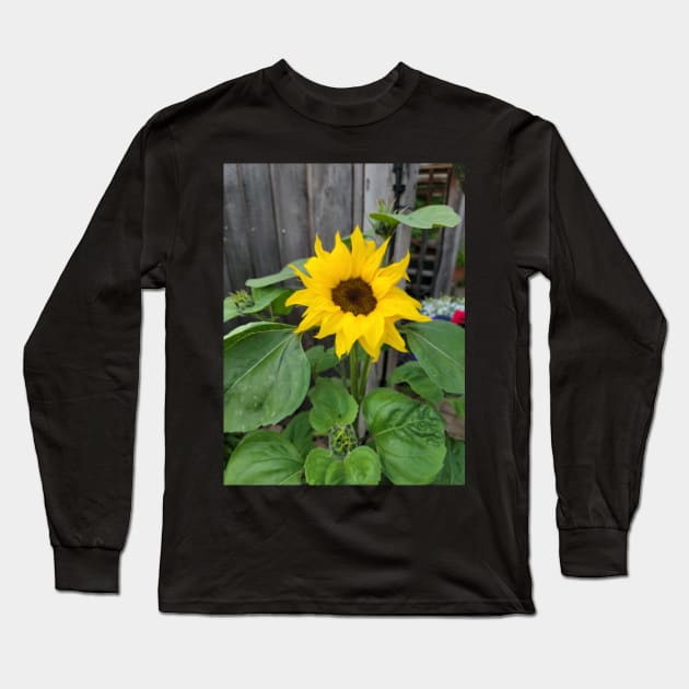 sunflowers posters, gift, for birthday happy birthday, beautiful flower Long Sleeve T-Shirt by AnnaMartaFoley